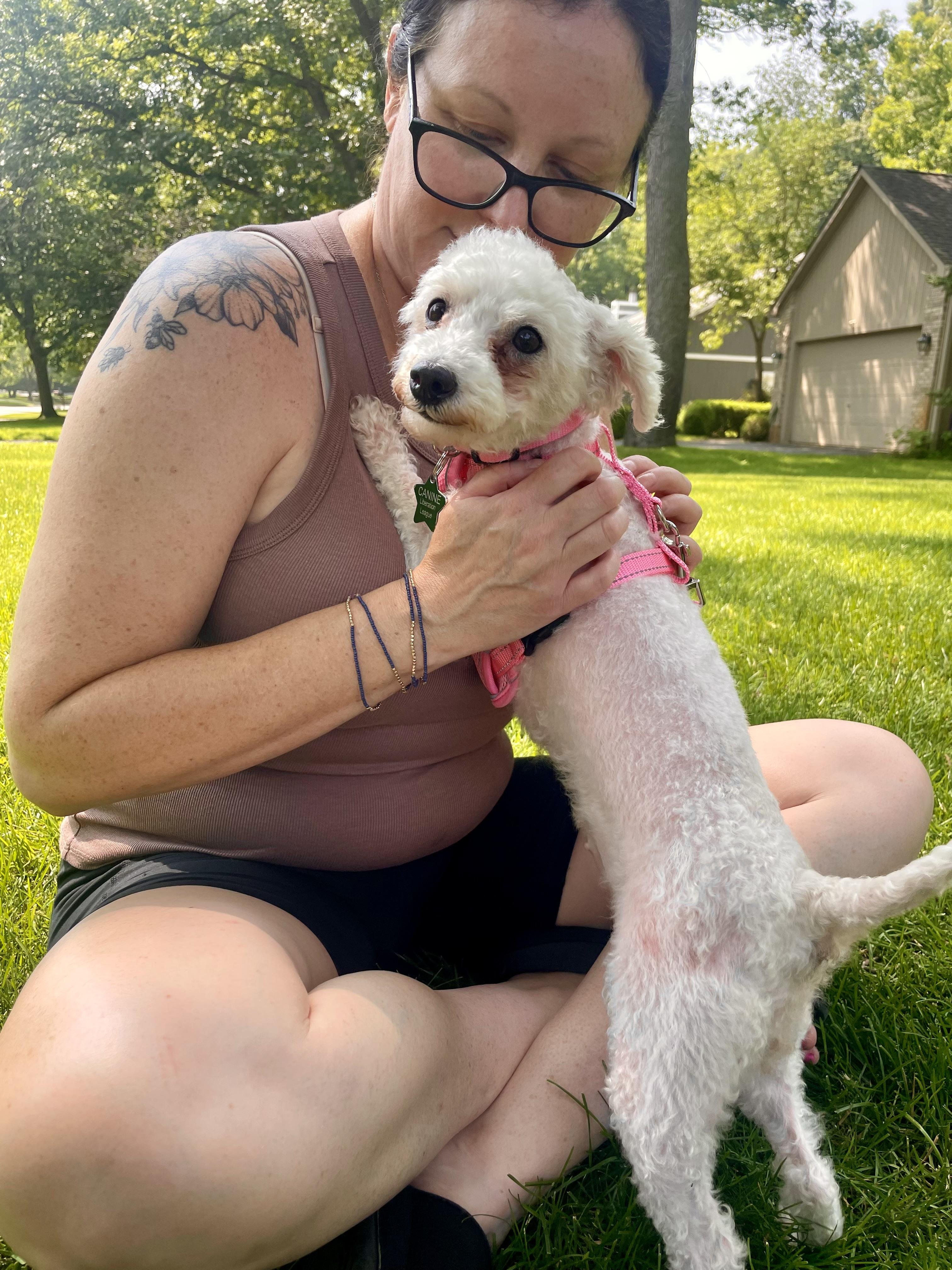 Whitney, an adoptable Maltipoo in South Lyon, MI, 48178 | Photo Image 2