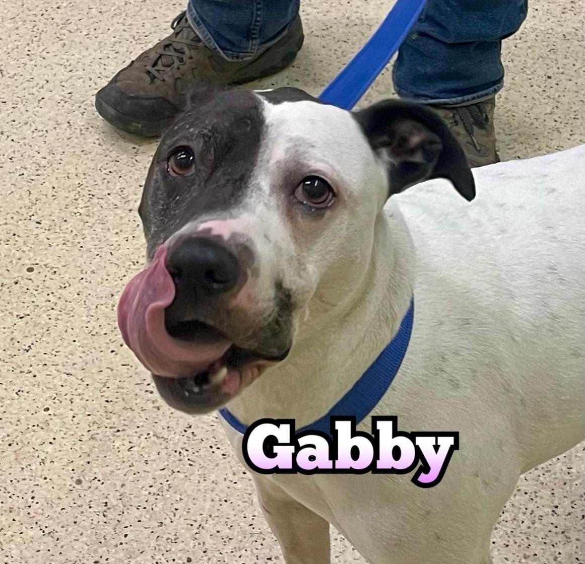Gabby