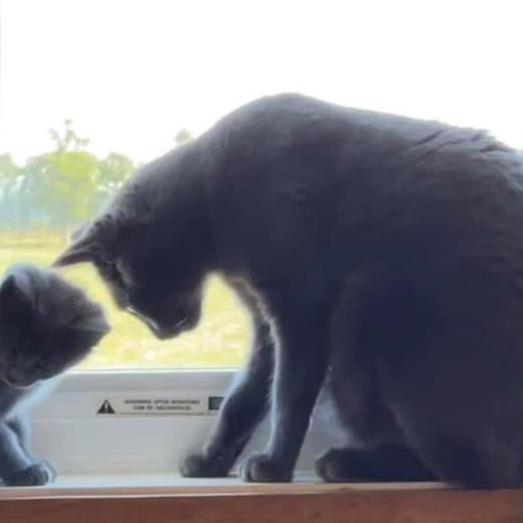 Smudge — thumbnail 2