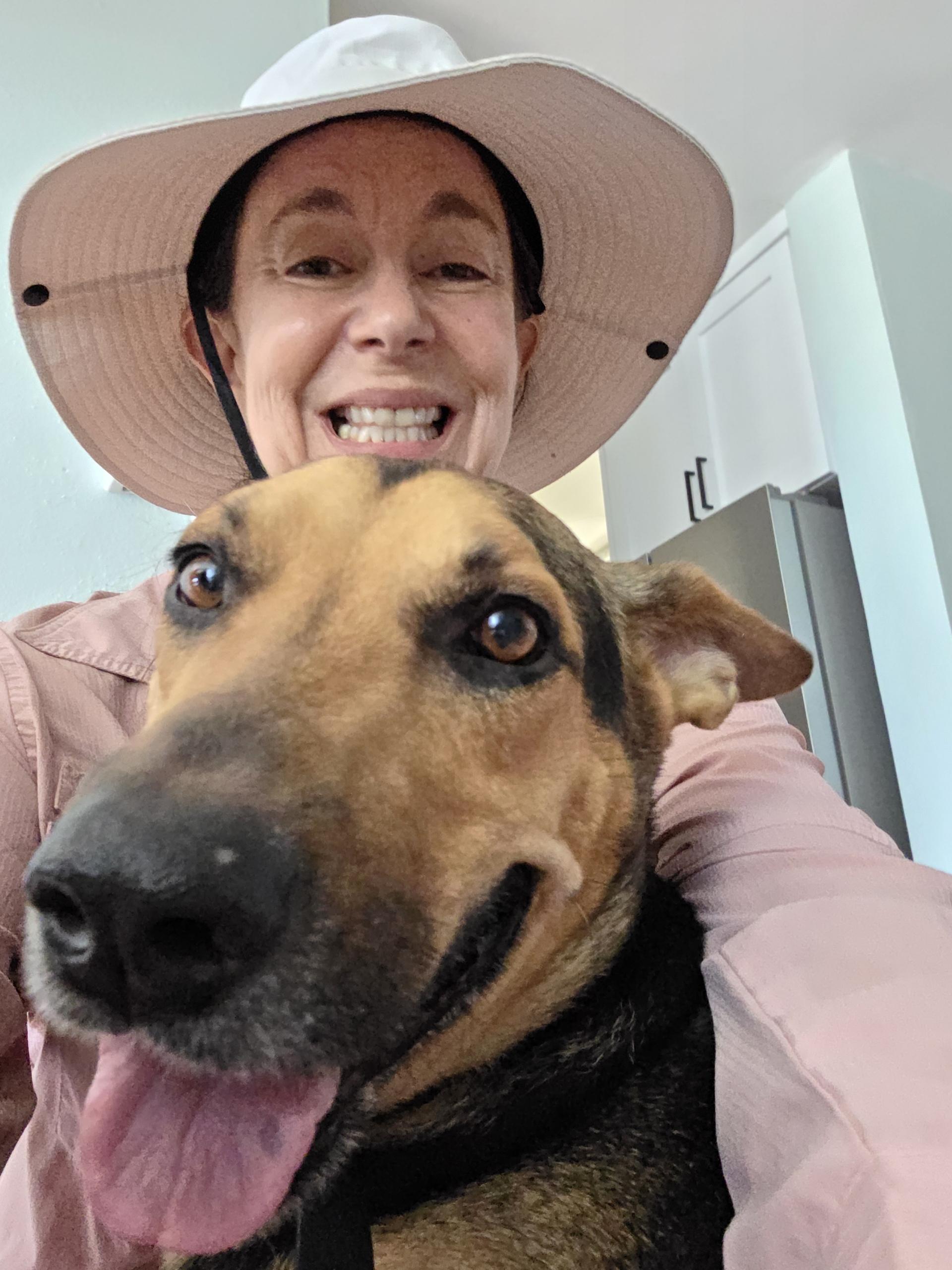 Enlarge Mo, a Adoptable mixed breed in Seattle, WA image 2/6
