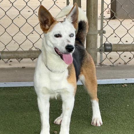 Munford — thumbnail 3