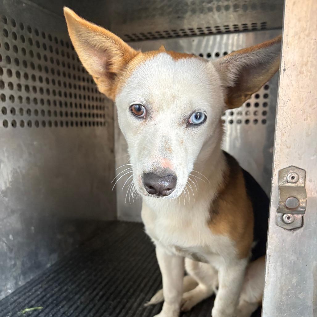 Munford — thumbnail 4