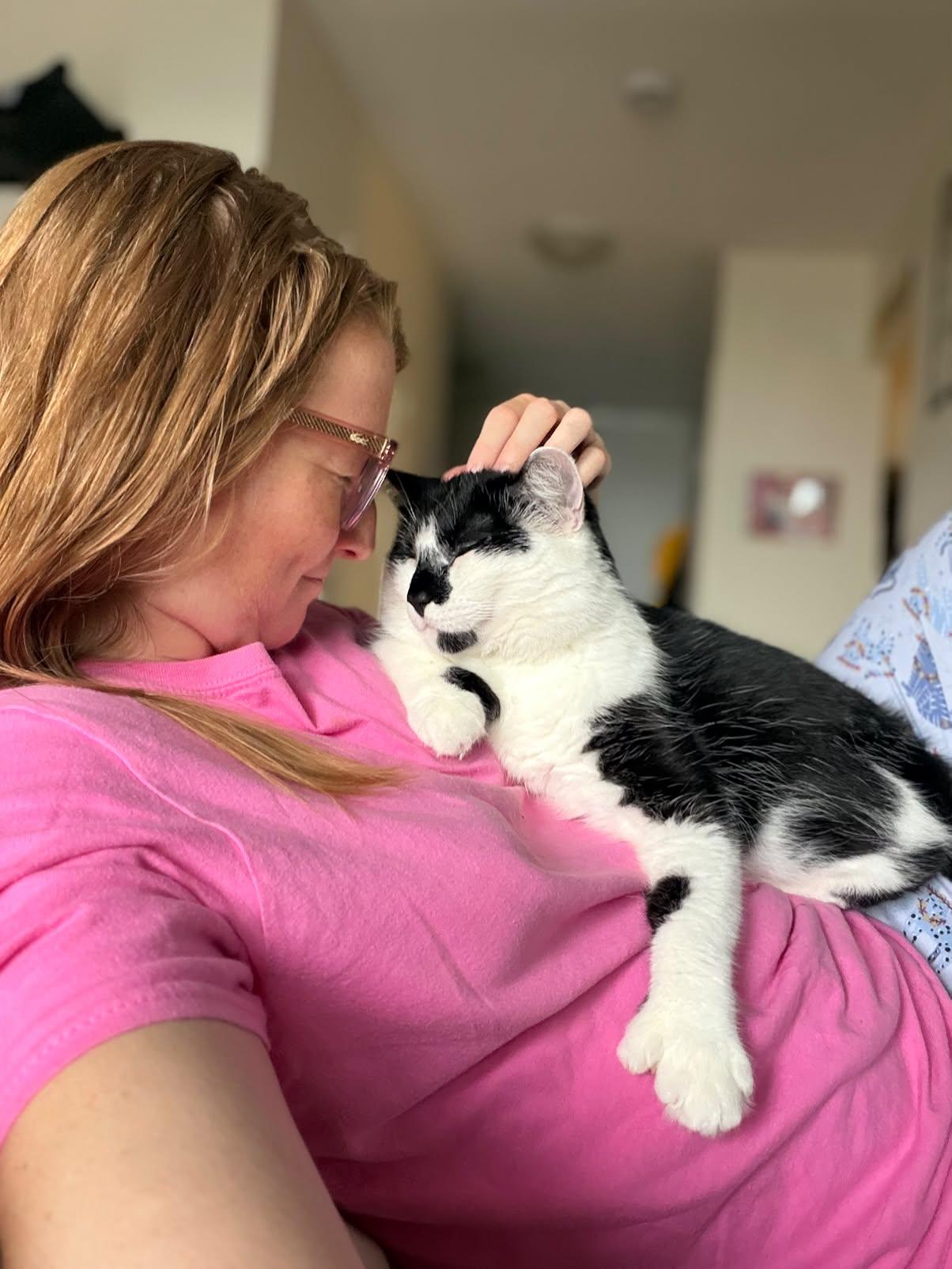 Enlarge PROTO, an adopted Domestic Short Hair in Tillsonburg, ON image 1/6
