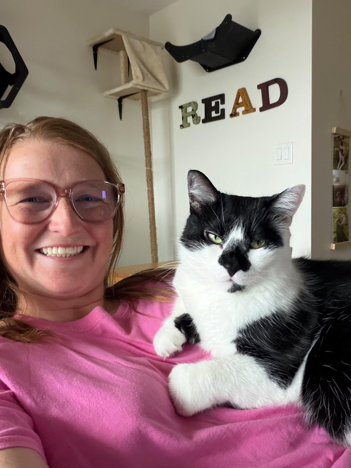 Enlarge PROTO, an adopted Domestic Short Hair in Tillsonburg, ON image 2/6
