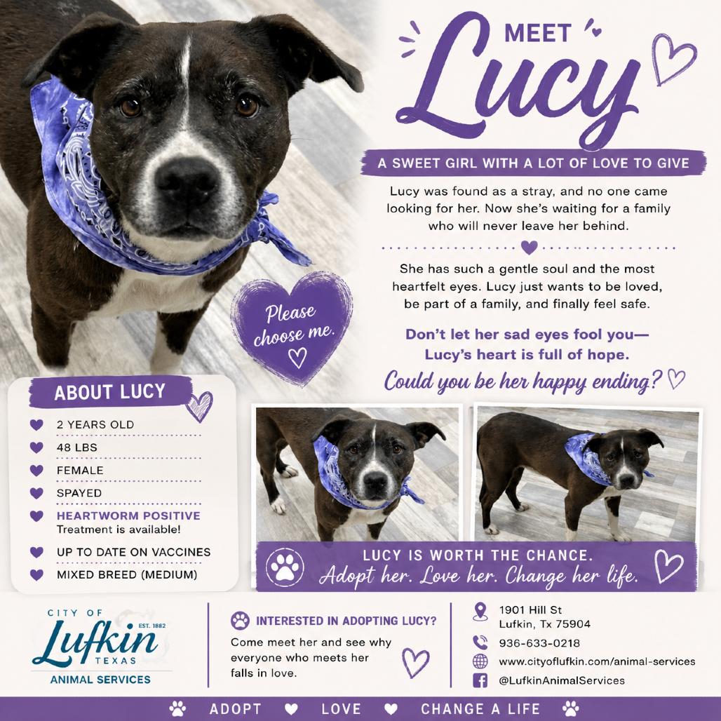 Enlarge Lucy, a Adoptable Mixed Breed in Lufkin, TX image 5/6