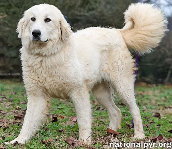 Luna In Tn  thumbnail 3