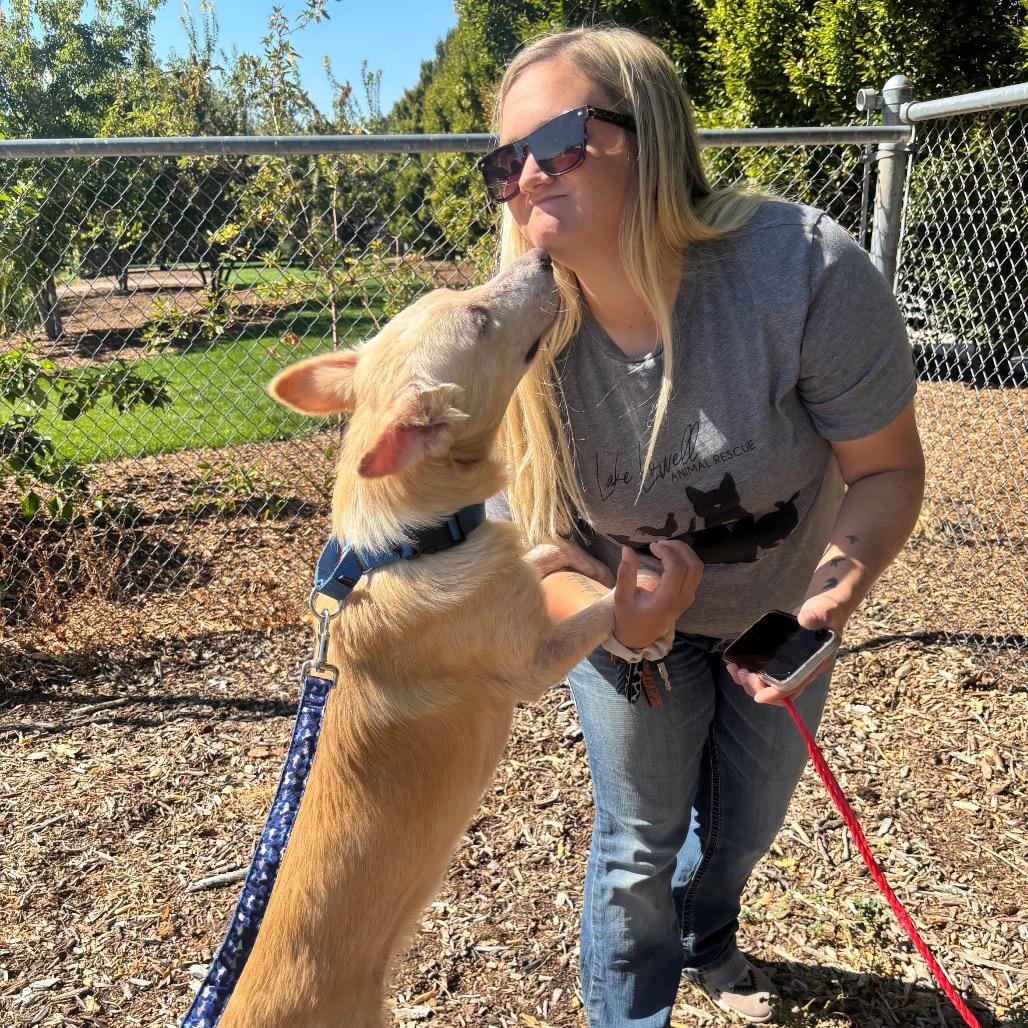 Enlarge Barkley, a Adoptable Mixed Breed in Nampa, ID image 5/6
