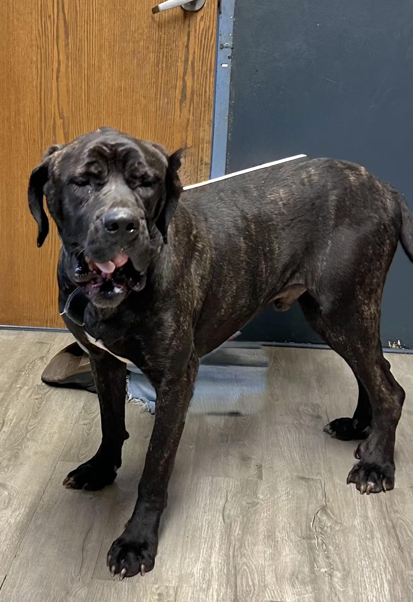 Willy Wonka thumbnail 2