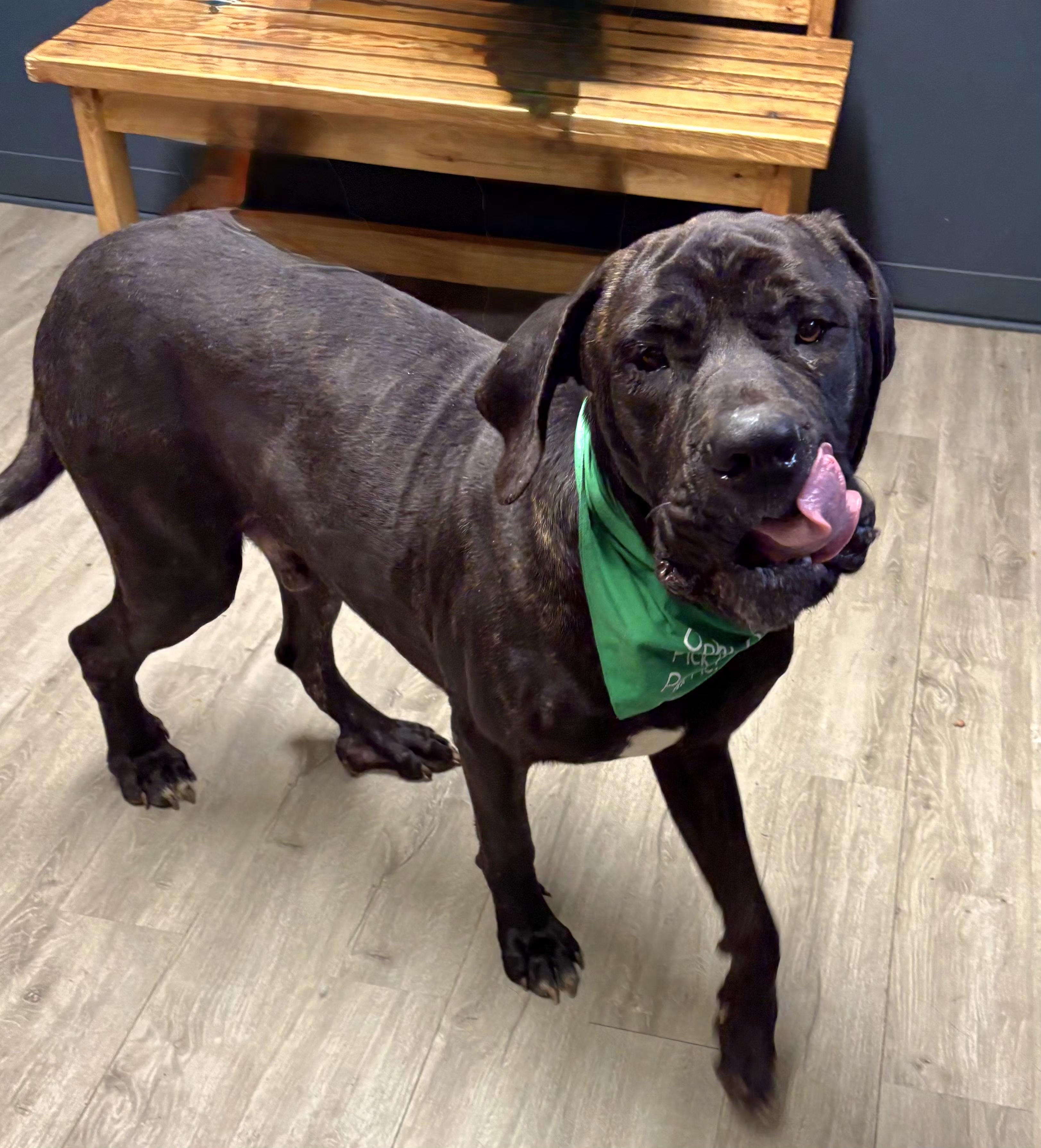 Willy Wonka thumbnail 3