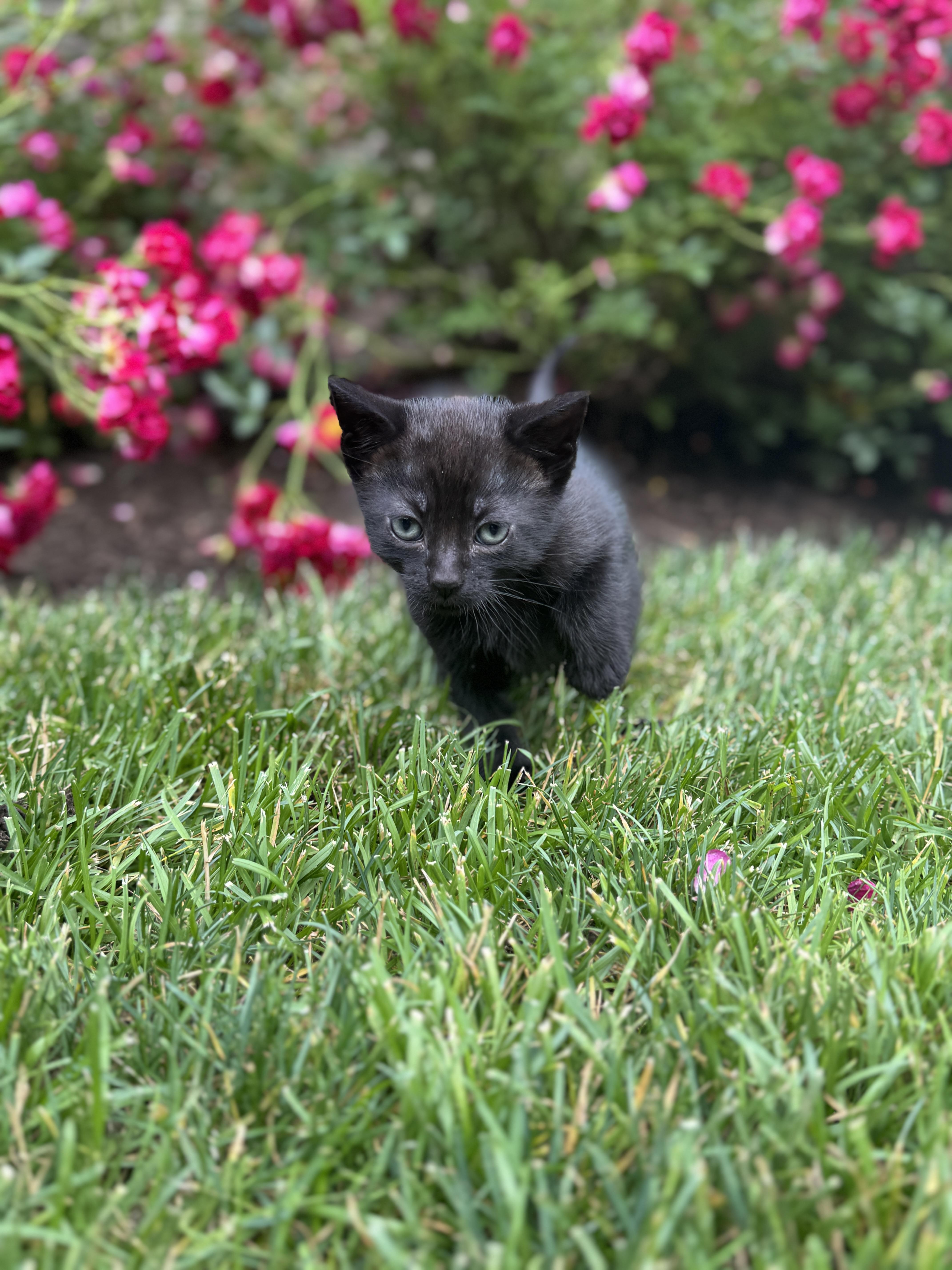 April photo 2
