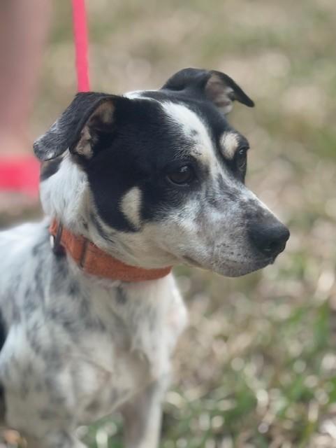 Steve — thumbnail 3