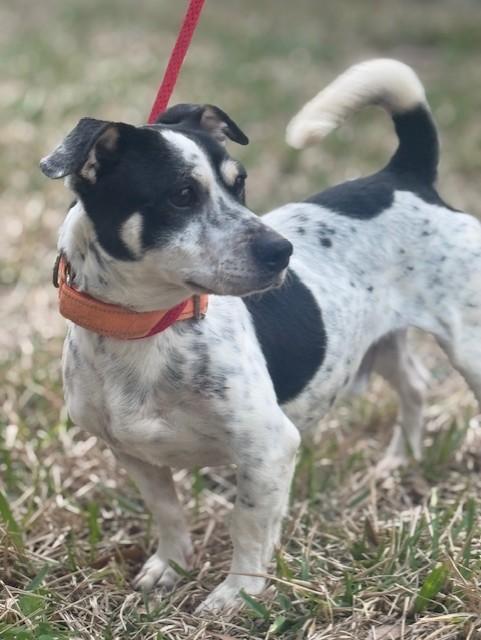 Steve — thumbnail 4