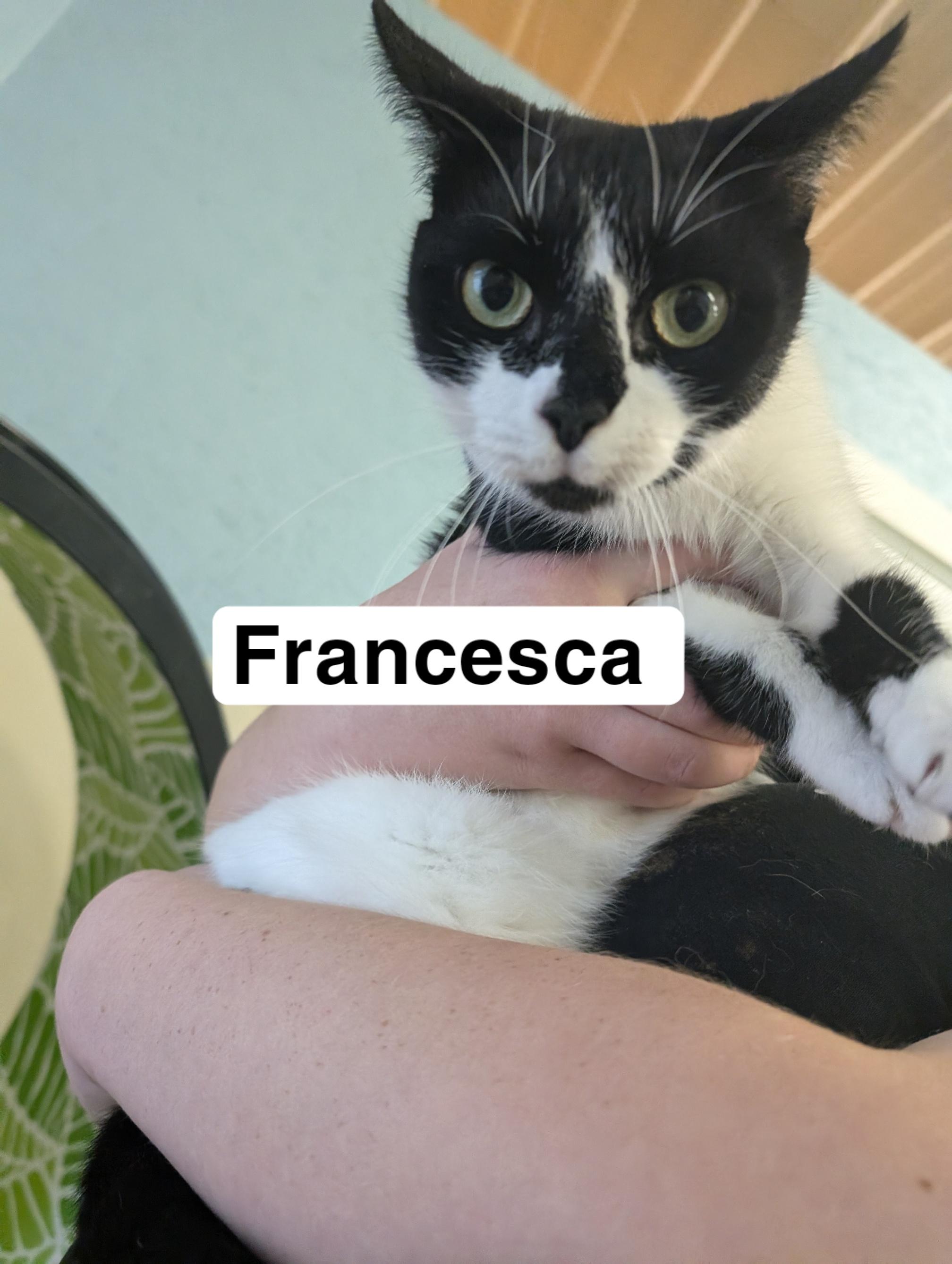 Francesca