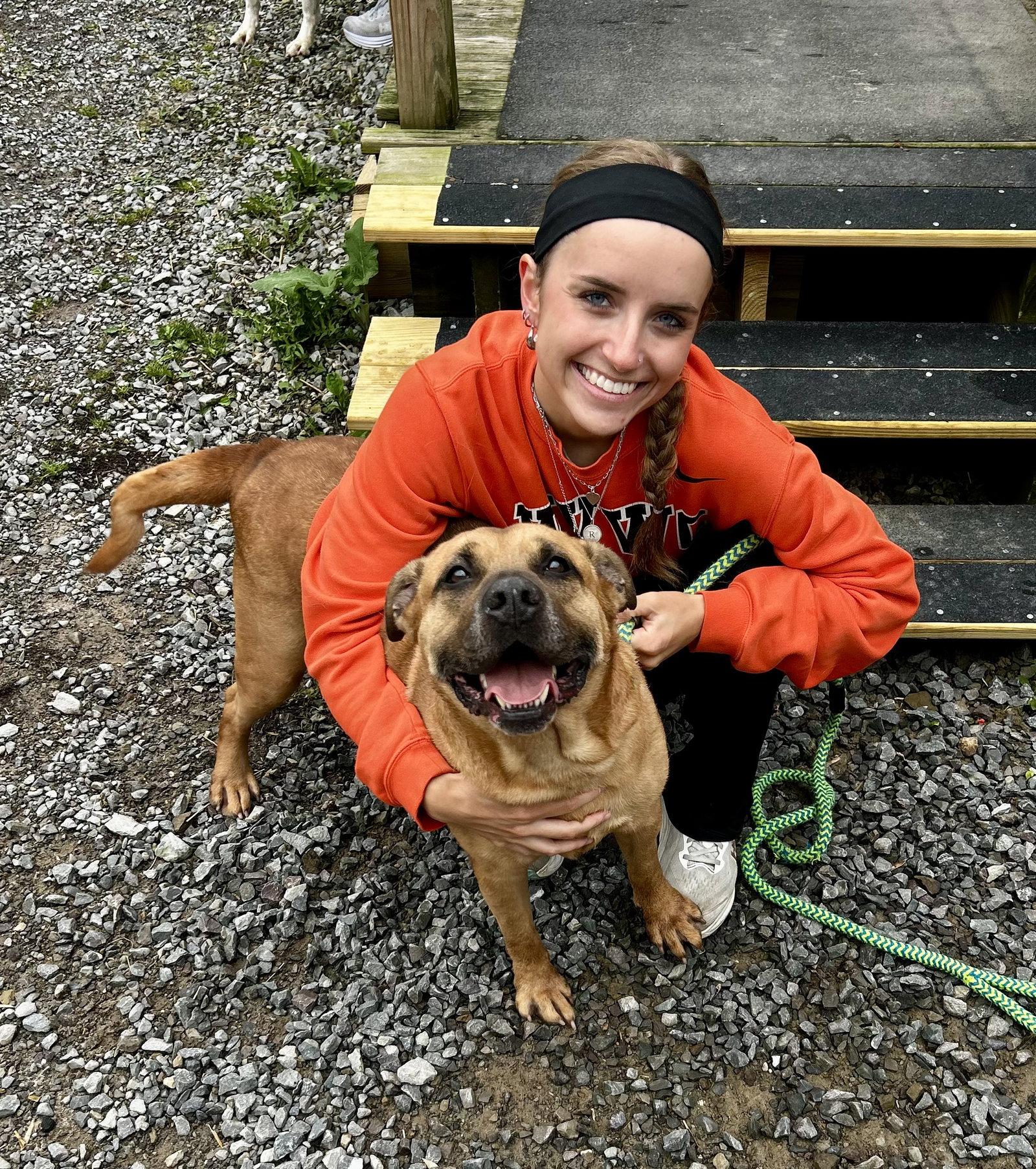 Enlarge Buster, a Adoptable Shar-Pei in Elkins, WV image 3/3