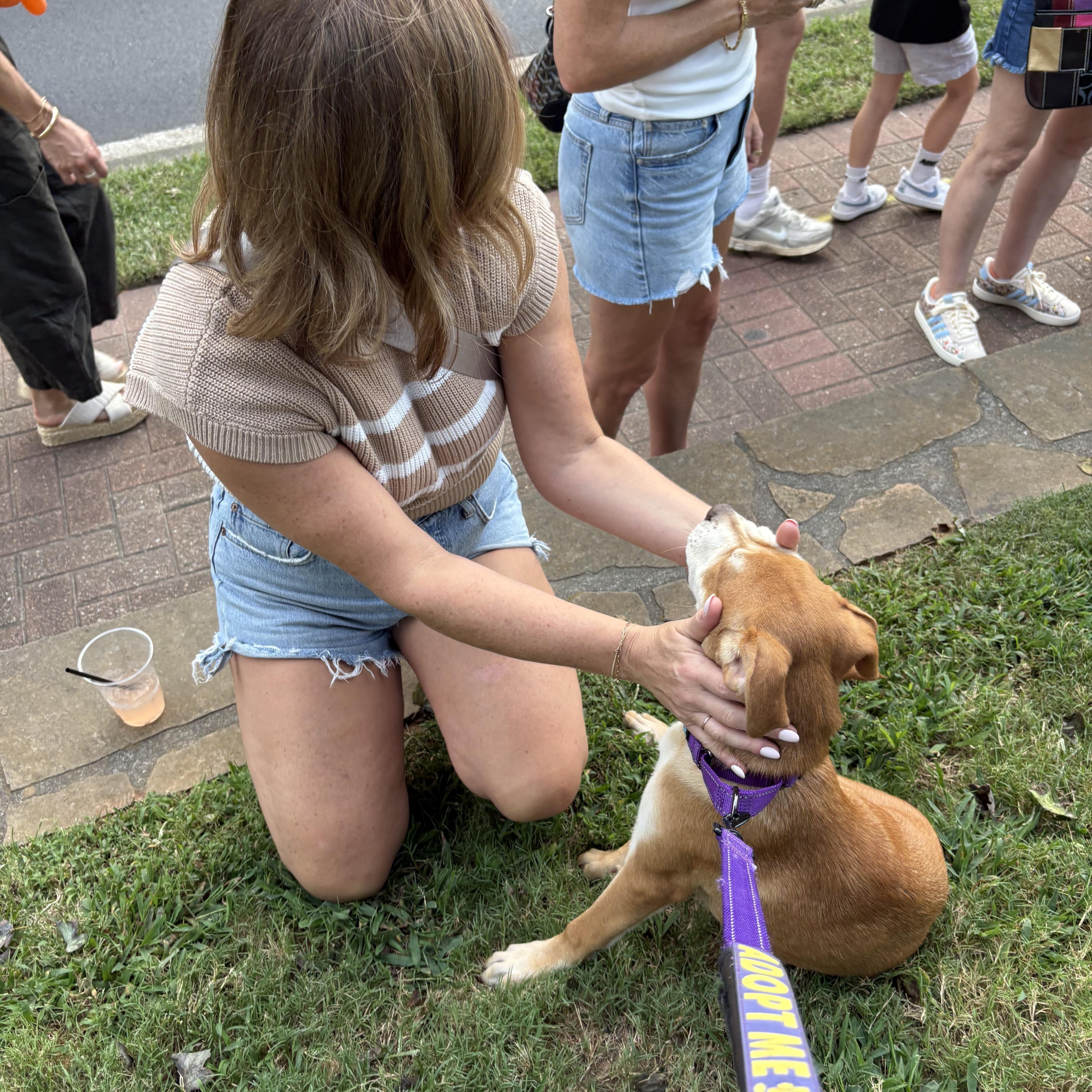 Enlarge Marlee, a Adopted mixed breed in Cumming, GA image 4/5