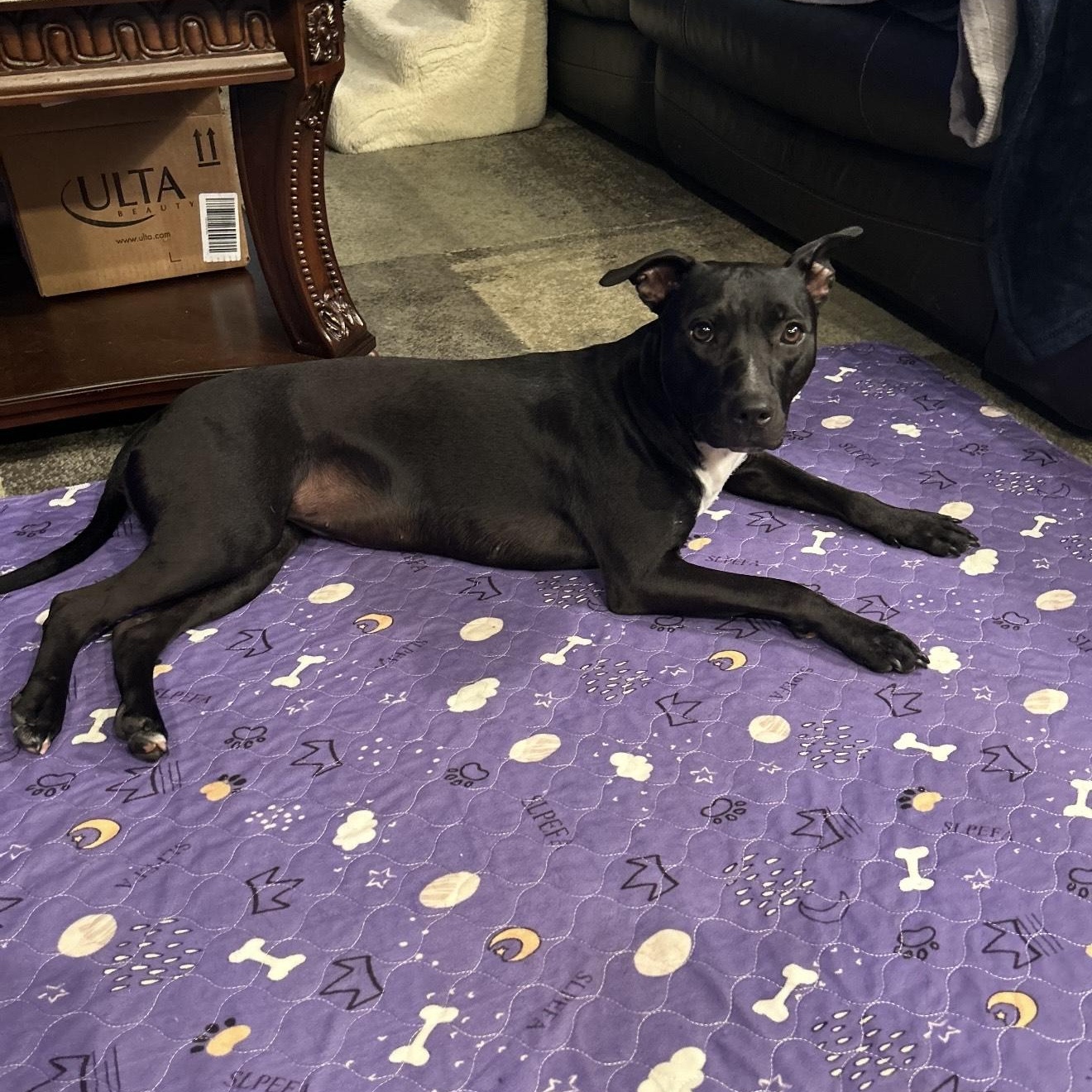 Krayola — thumbnail 2