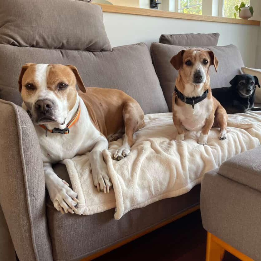 Tuck loves snuggles and adventure