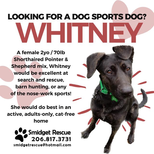 Whitney photo 3
