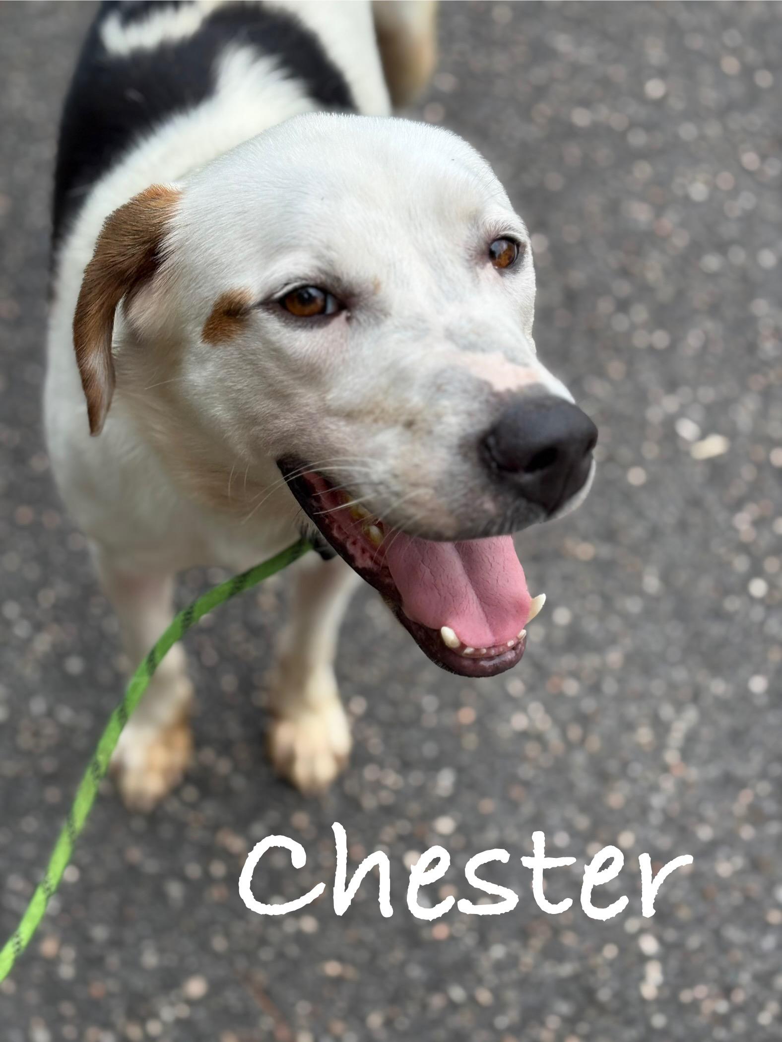 Chester