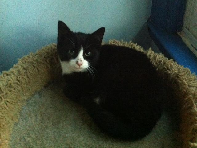 Spencer photo 2