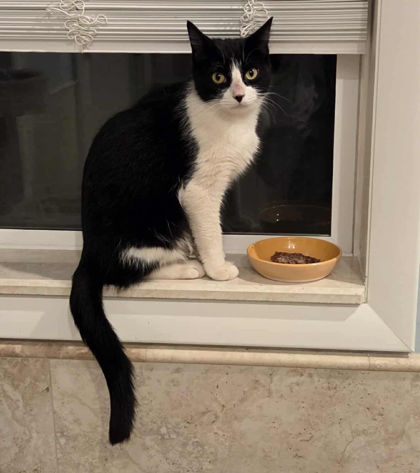 Louisa Mama