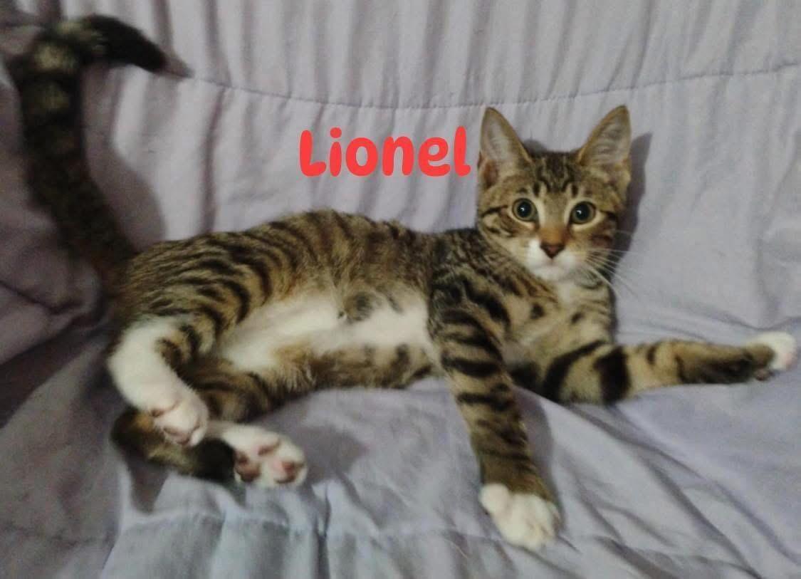 Lionel