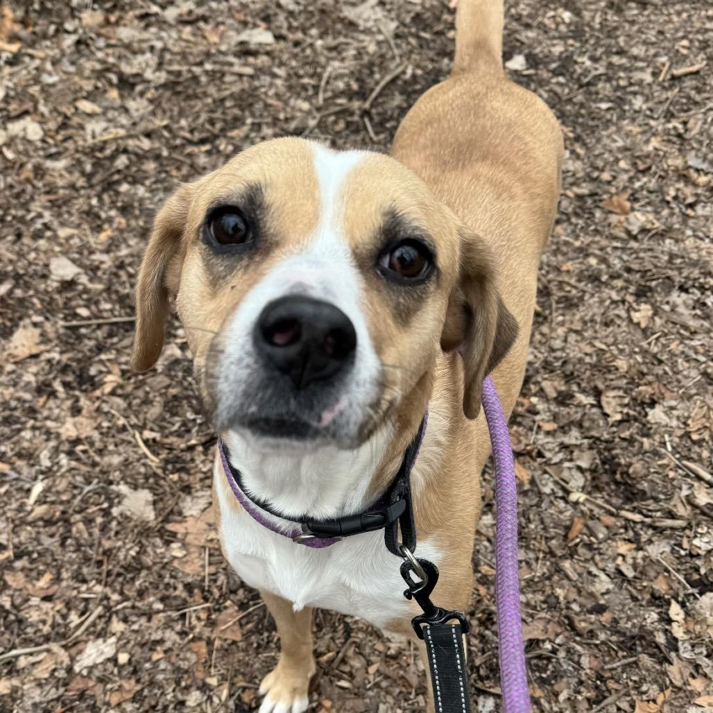 Makima — thumbnail 2