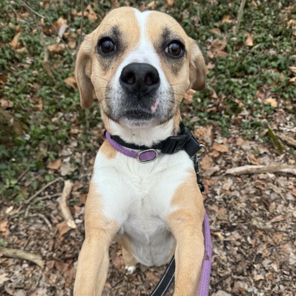 Makima — thumbnail 3