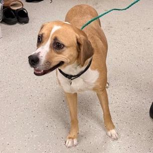 Makima — thumbnail 4