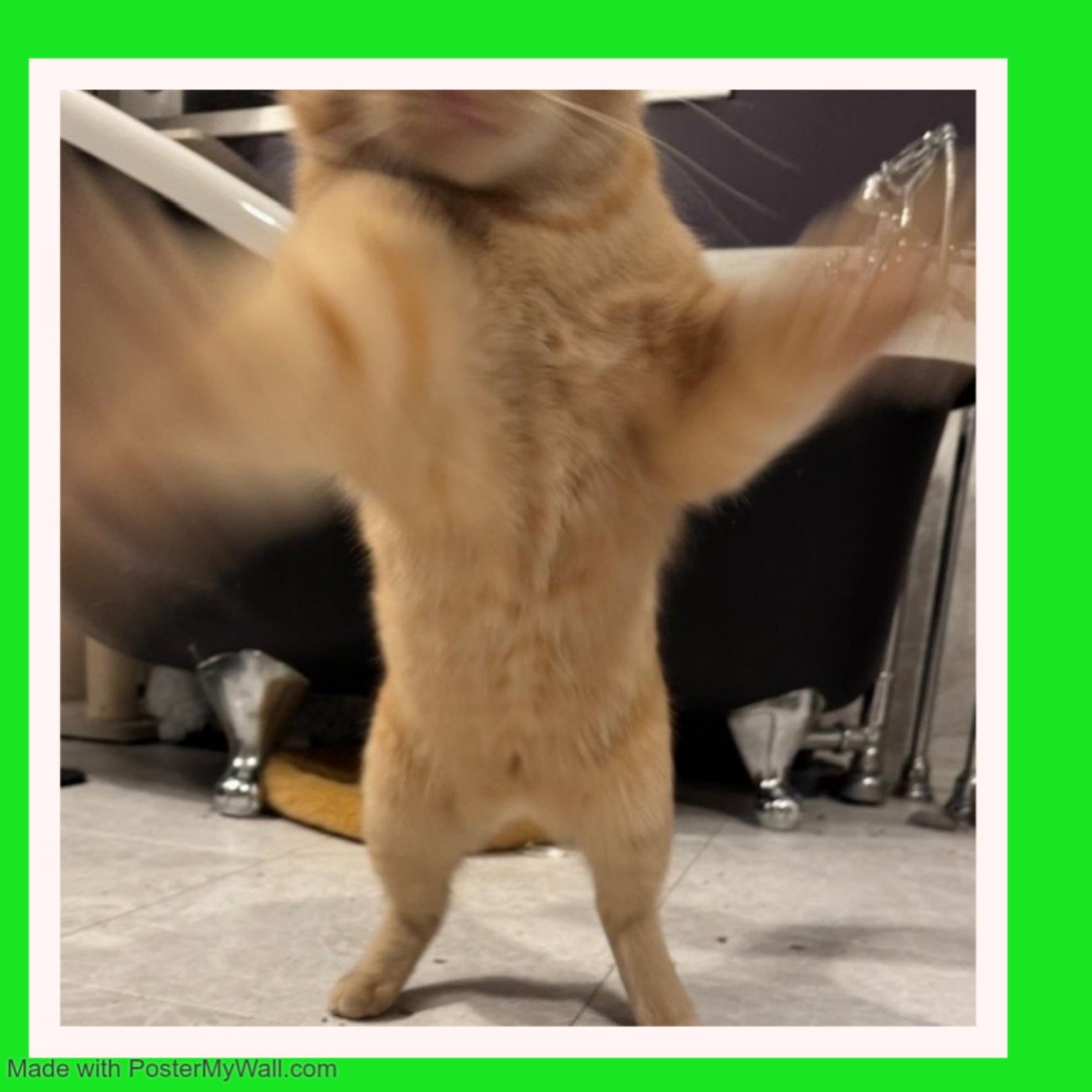 Frederick & Fargo BONDED — thumbnail 6