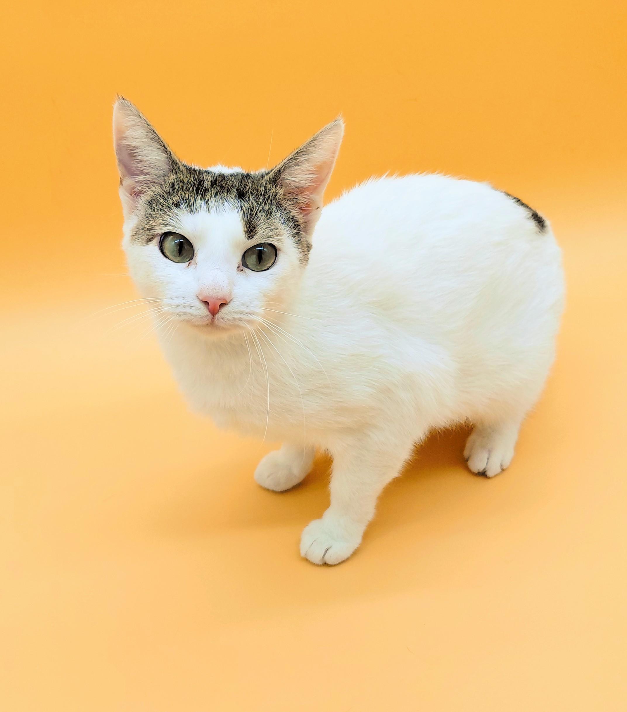 Mamacita — thumbnail 2