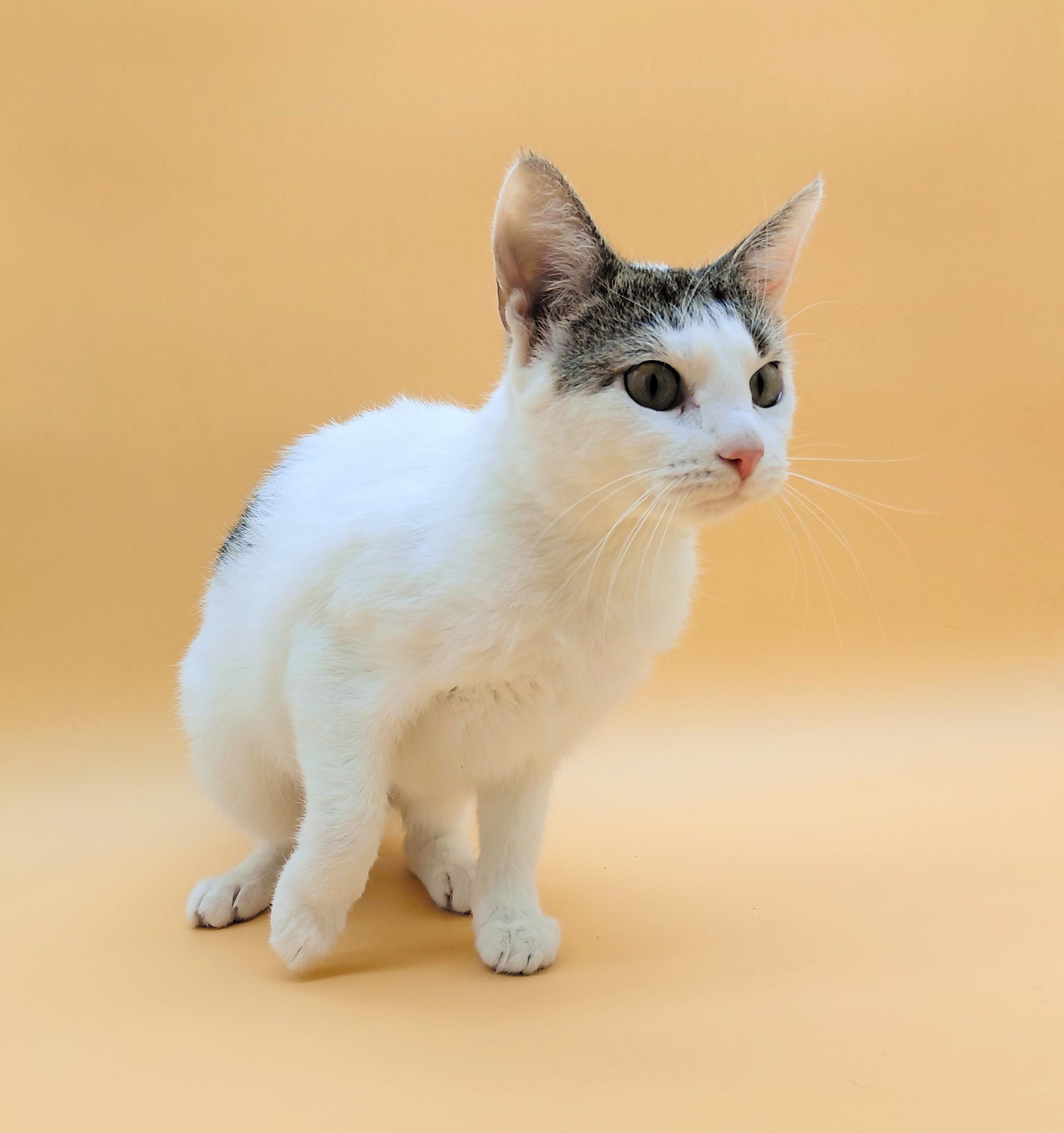 Mamacita — thumbnail 3