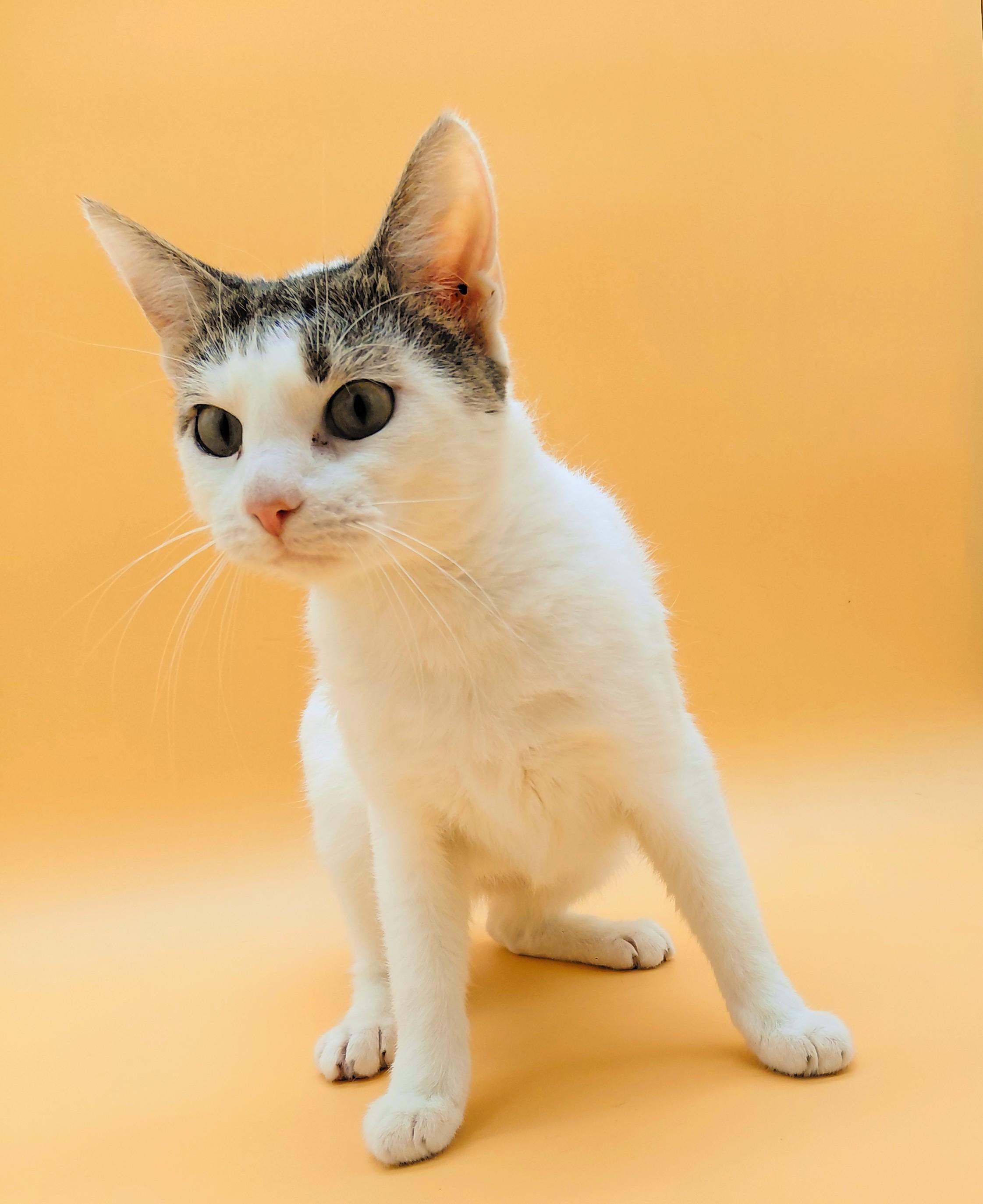 Mamacita — thumbnail 5