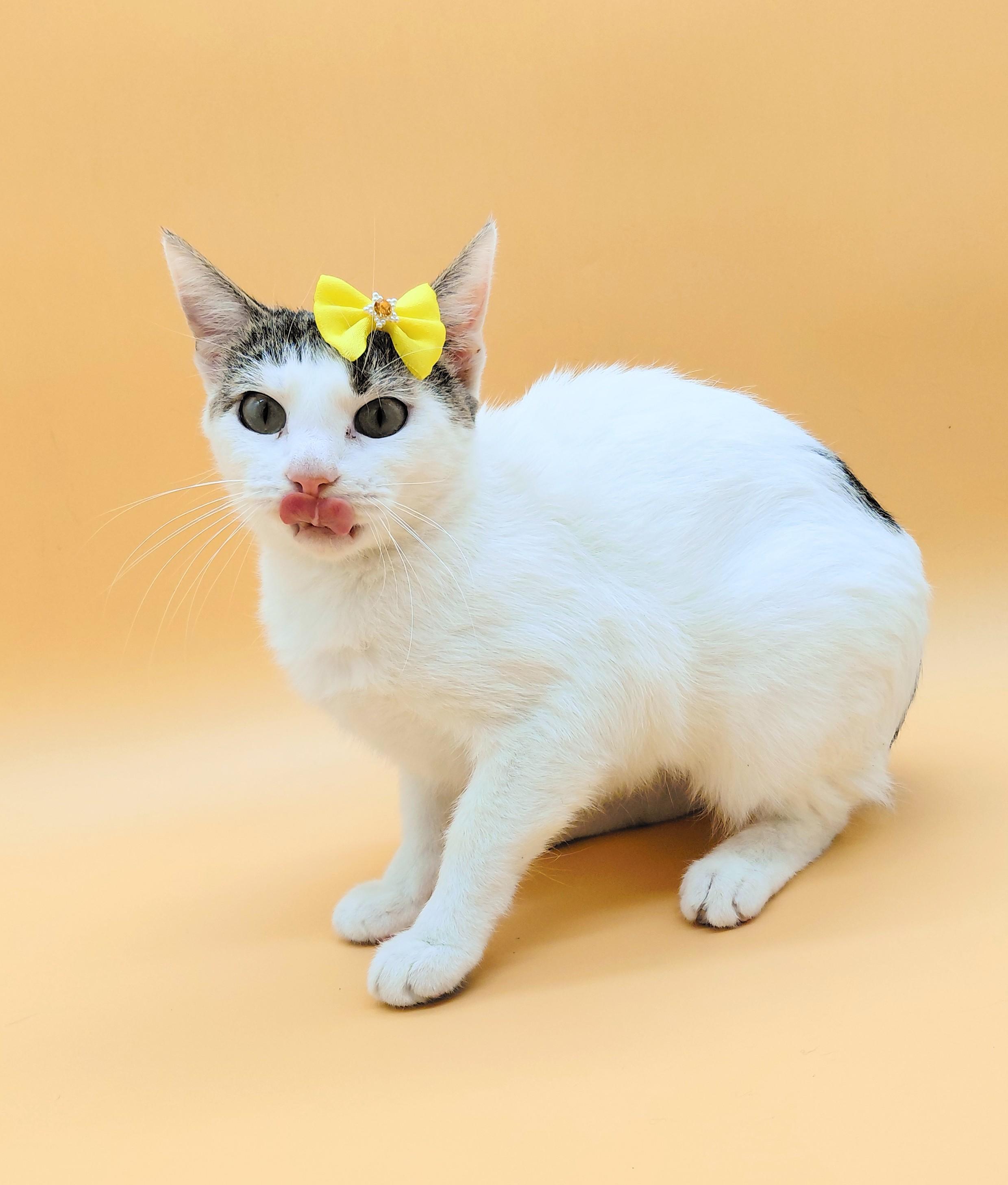 Mamacita — thumbnail 6