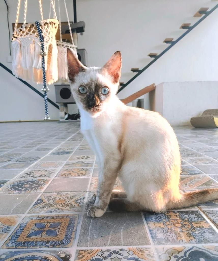 Nina — thumbnail 3