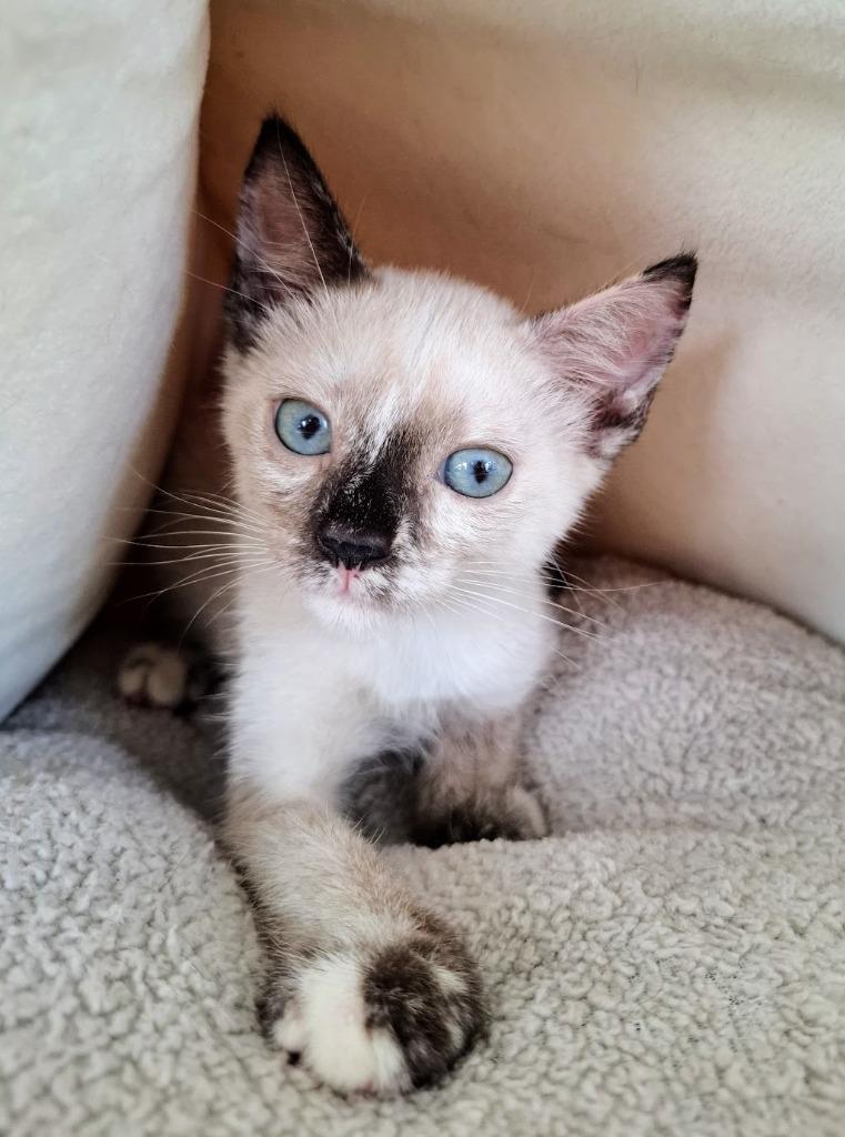 Nina — thumbnail 4