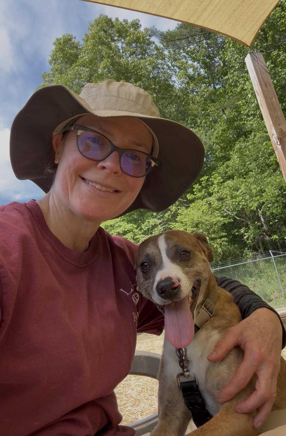 Enlarge Hatley, a ADOPTABLE mixed breed in Marshall, NC image 3/6