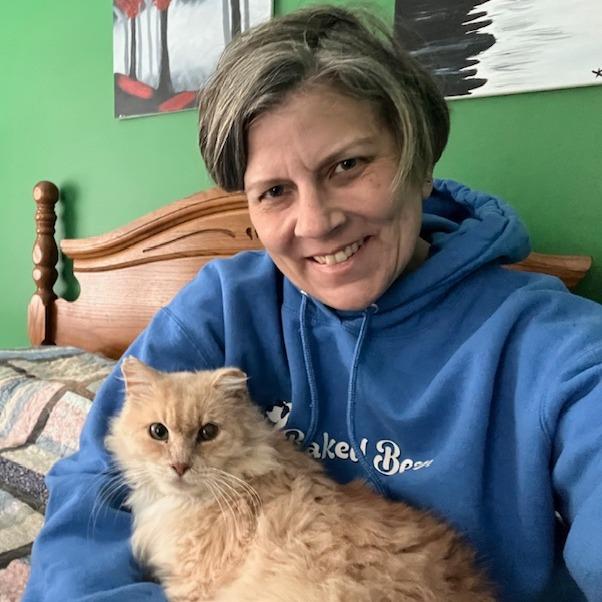 Enlarge Creamy, a Adoptable Domestic Long Hair in St. Louis, MO image 3/6