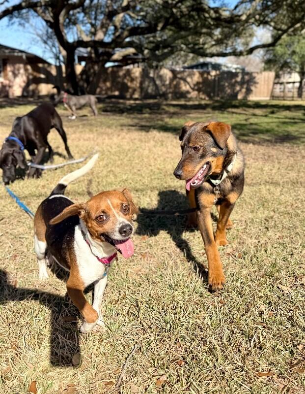 Katniss Everdeen the Ever so Fabulous Cutie