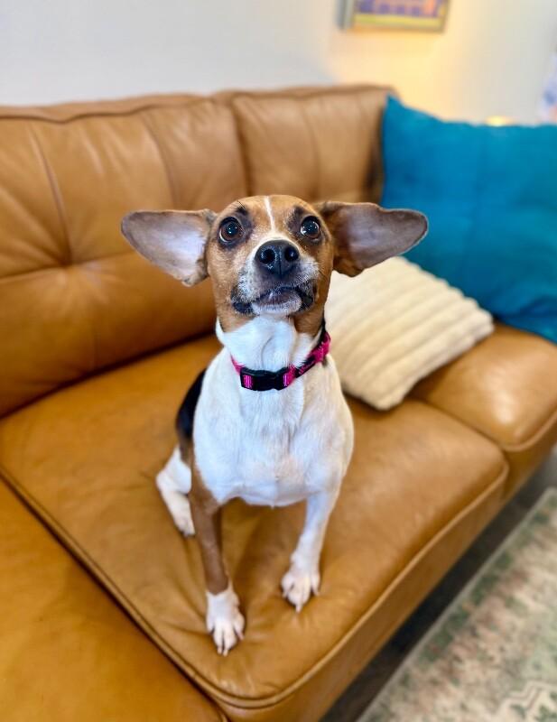 Katniss Everdeen the Ever so Fabulous Cutie — thumbnail 3