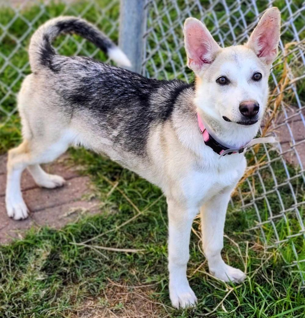 Anallise thumbnail 2