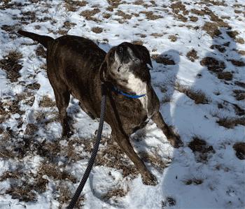 Daisy May 3