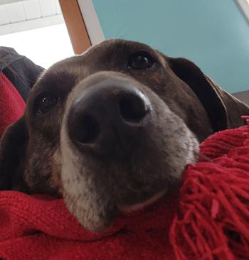 Daisy May 2