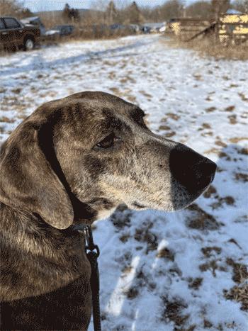 Daisy May 4