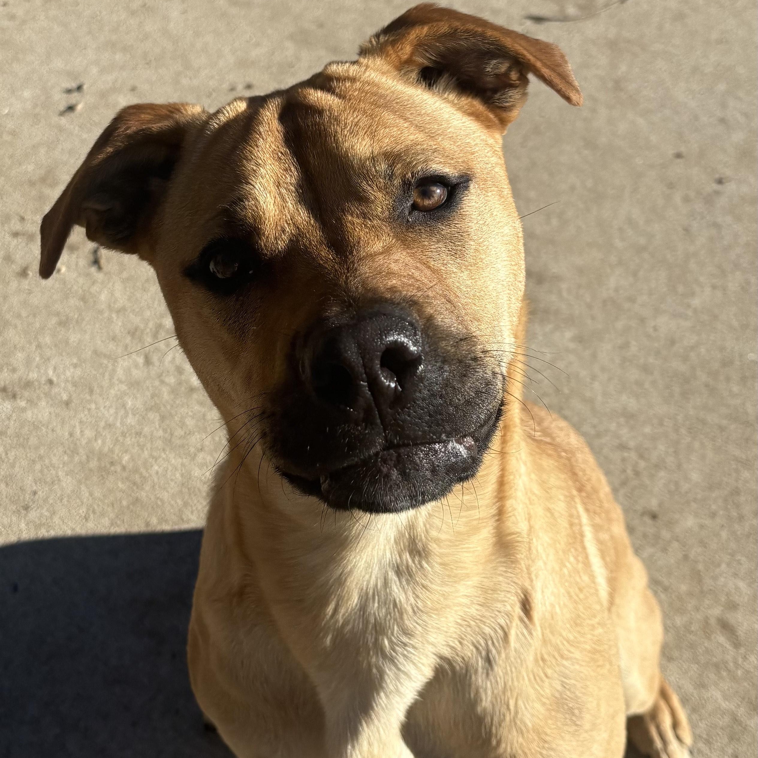 Butters — thumbnail 3