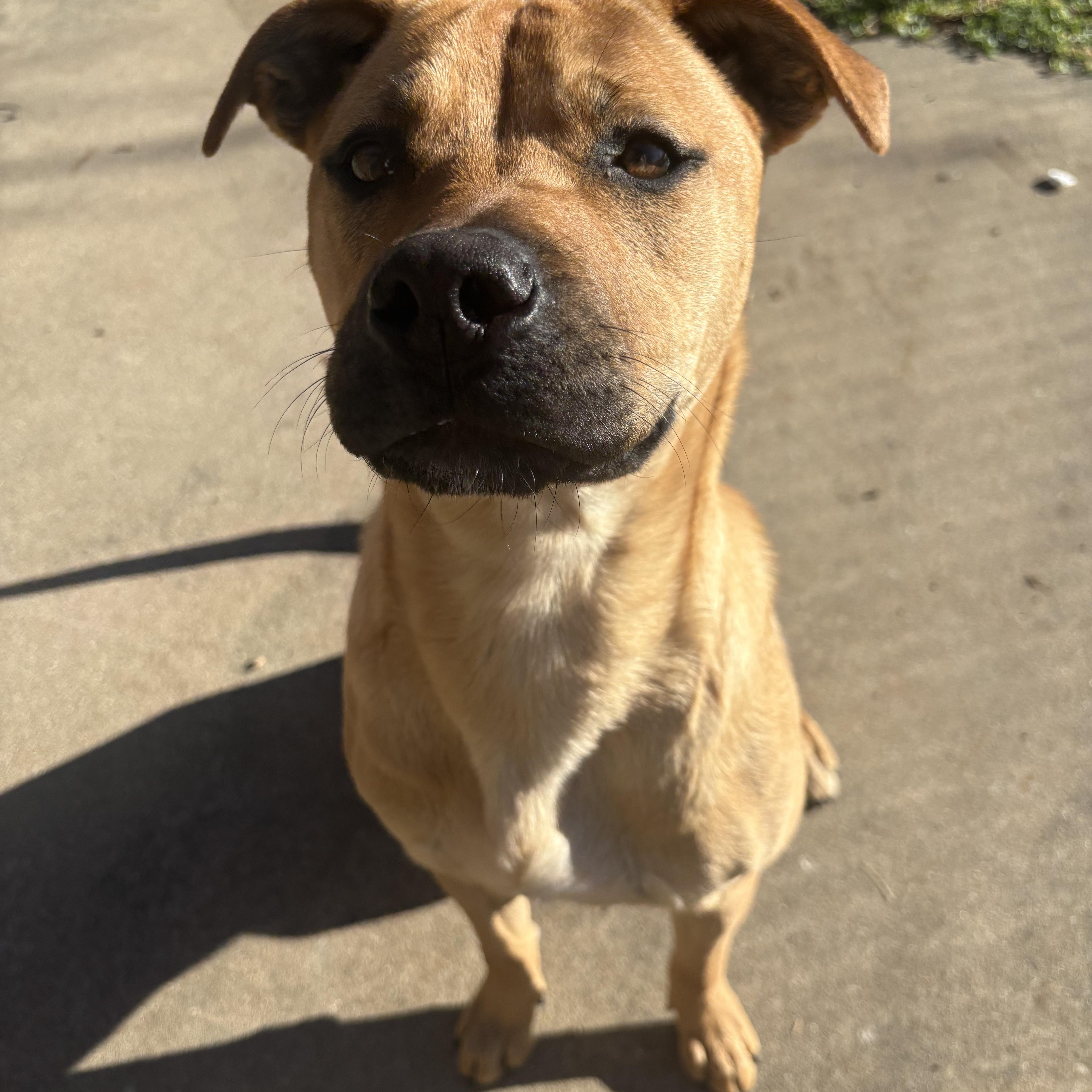 Butters — thumbnail 4