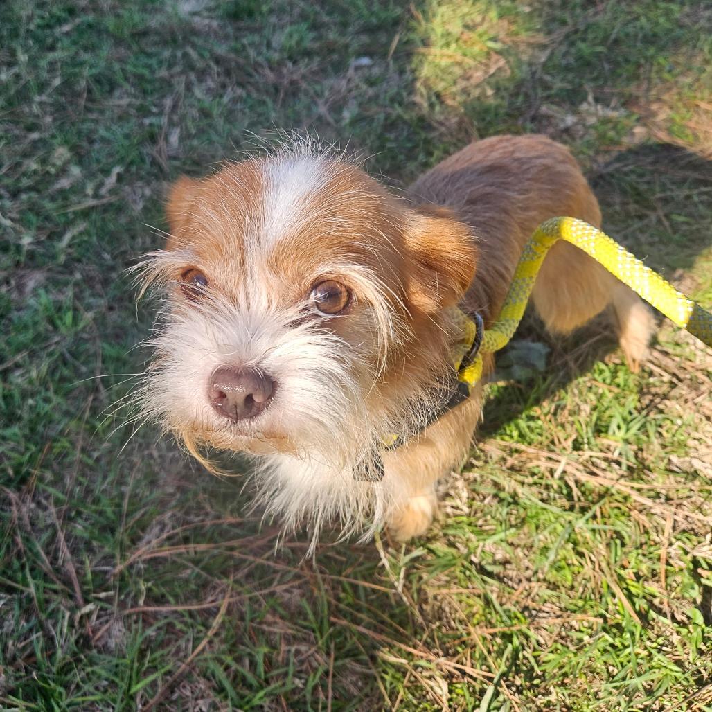 Archie Arthur — thumbnail 2