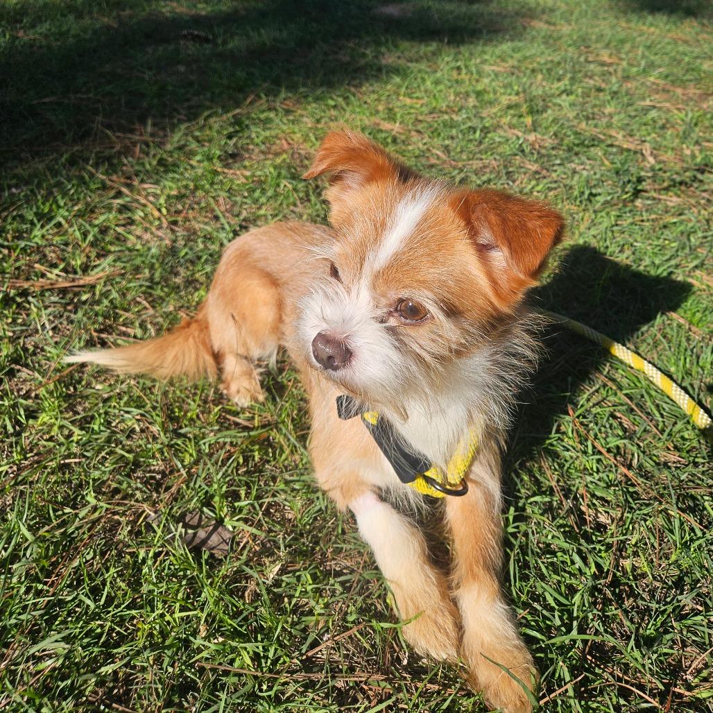 Archie Arthur — thumbnail 3