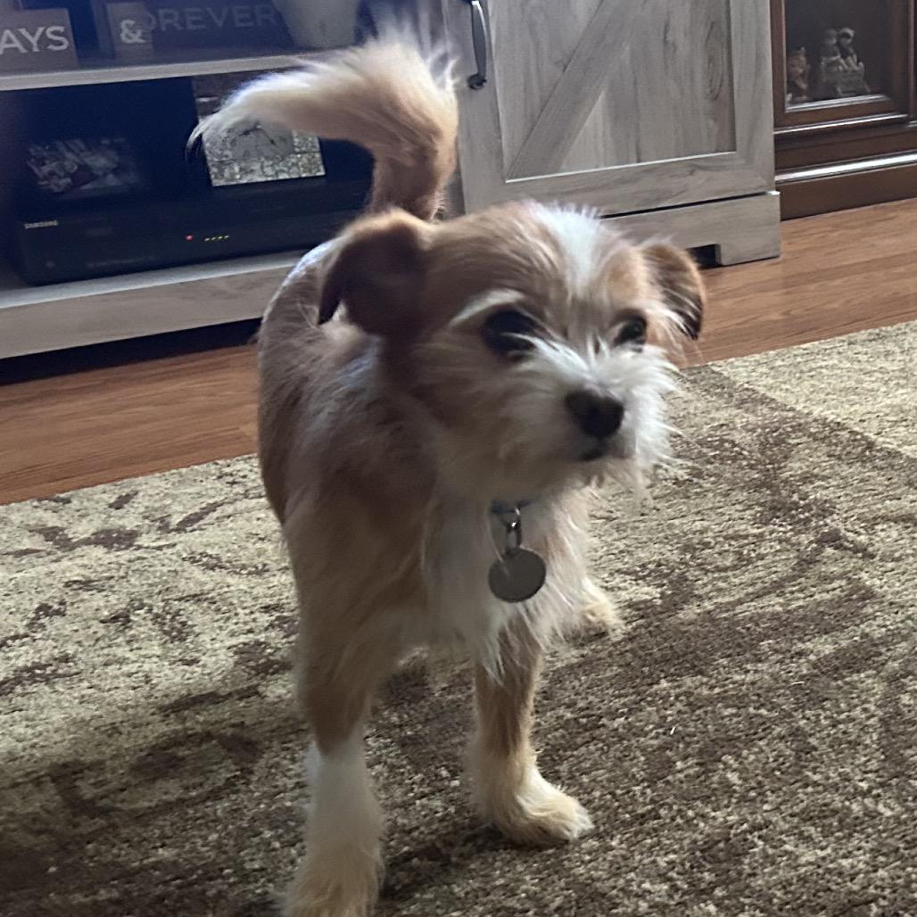 Archie Arthur — thumbnail 6