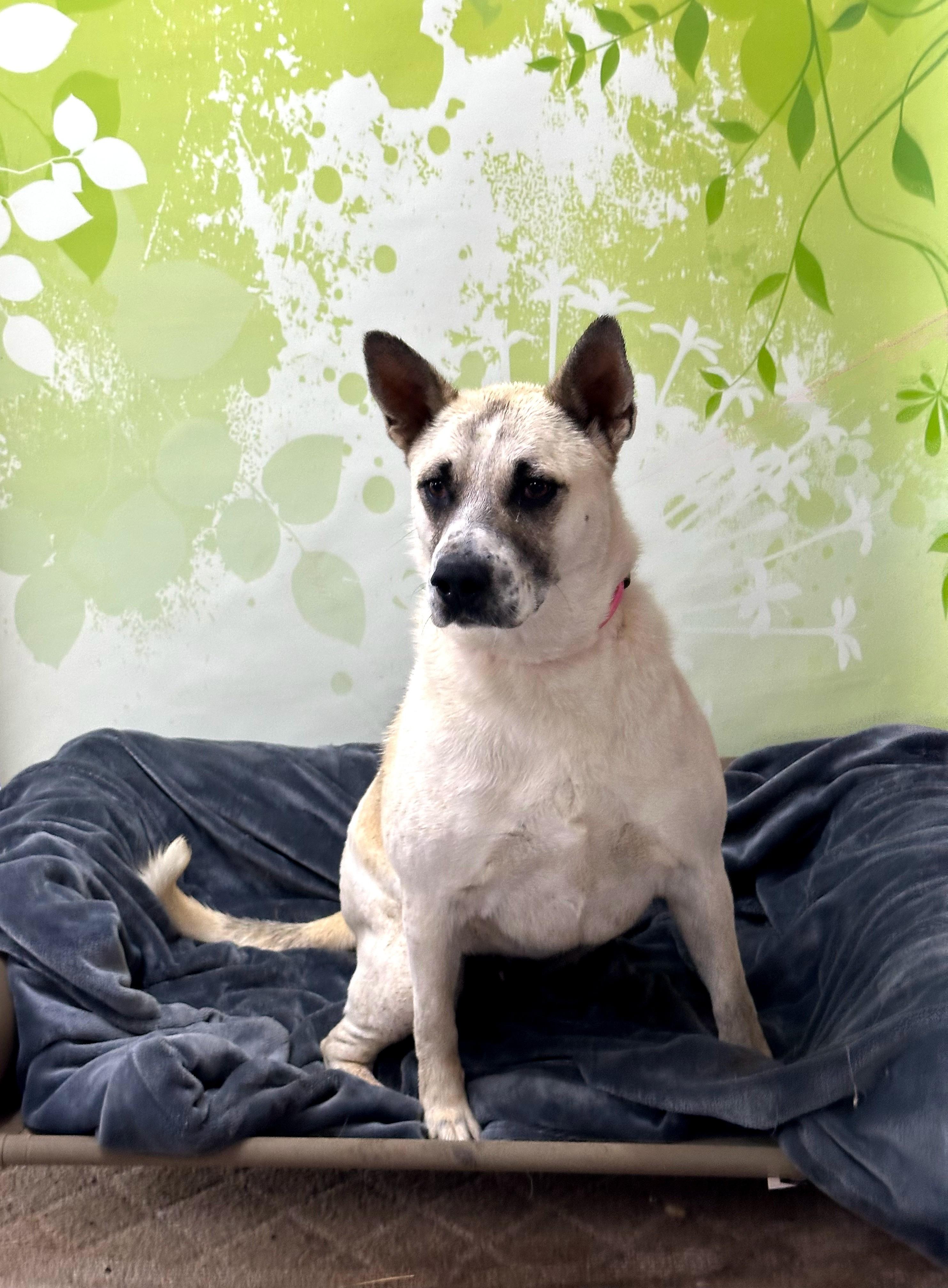 Rachel — thumbnail 2